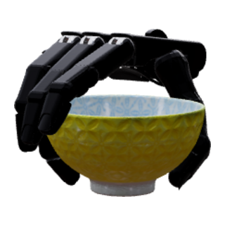 Shadow Hand grasp result